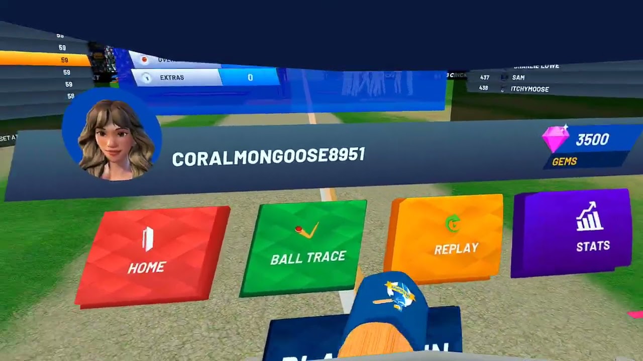 ib cricket.