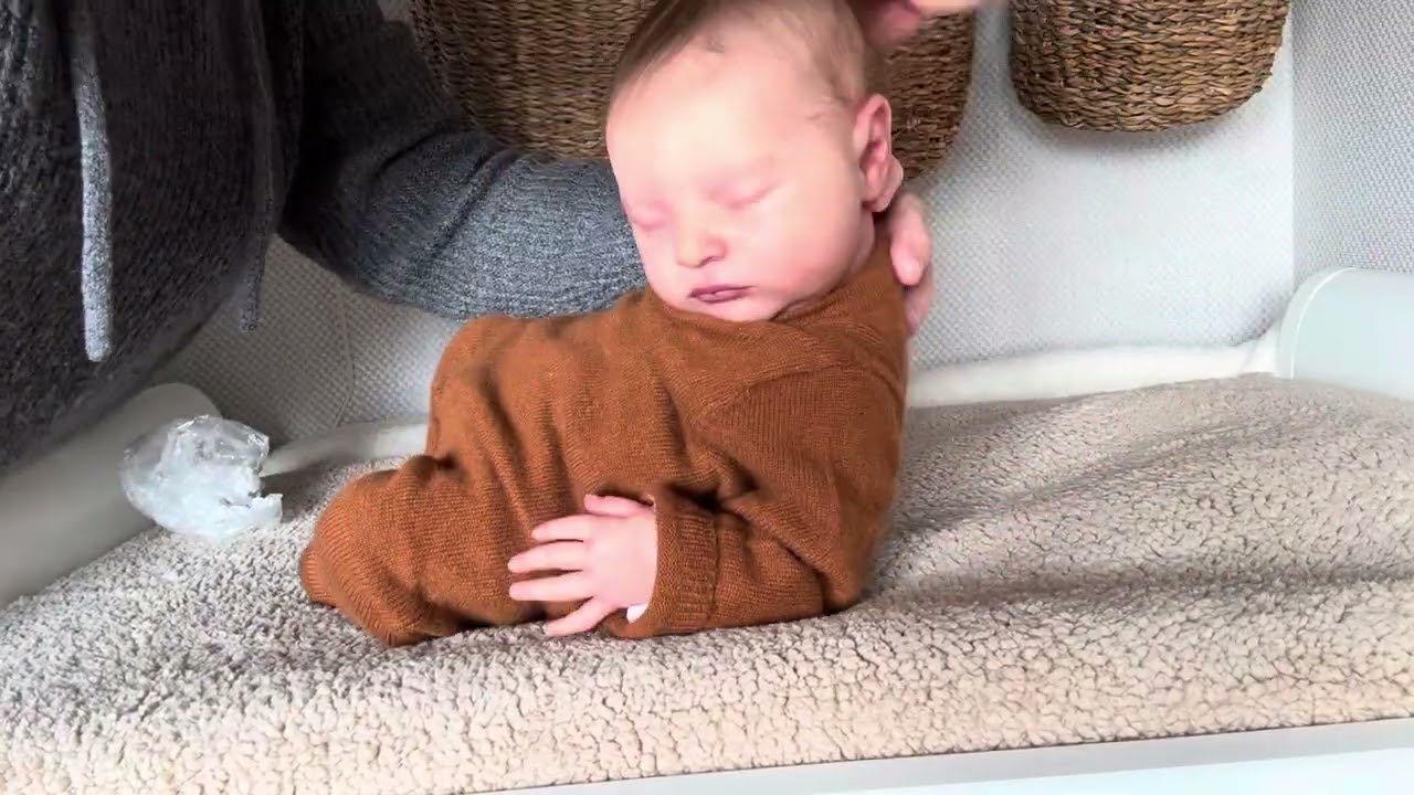 Changing Paloma, Laura by Bonnie Brown and Lidia Torres. Reborn Baby Doll.