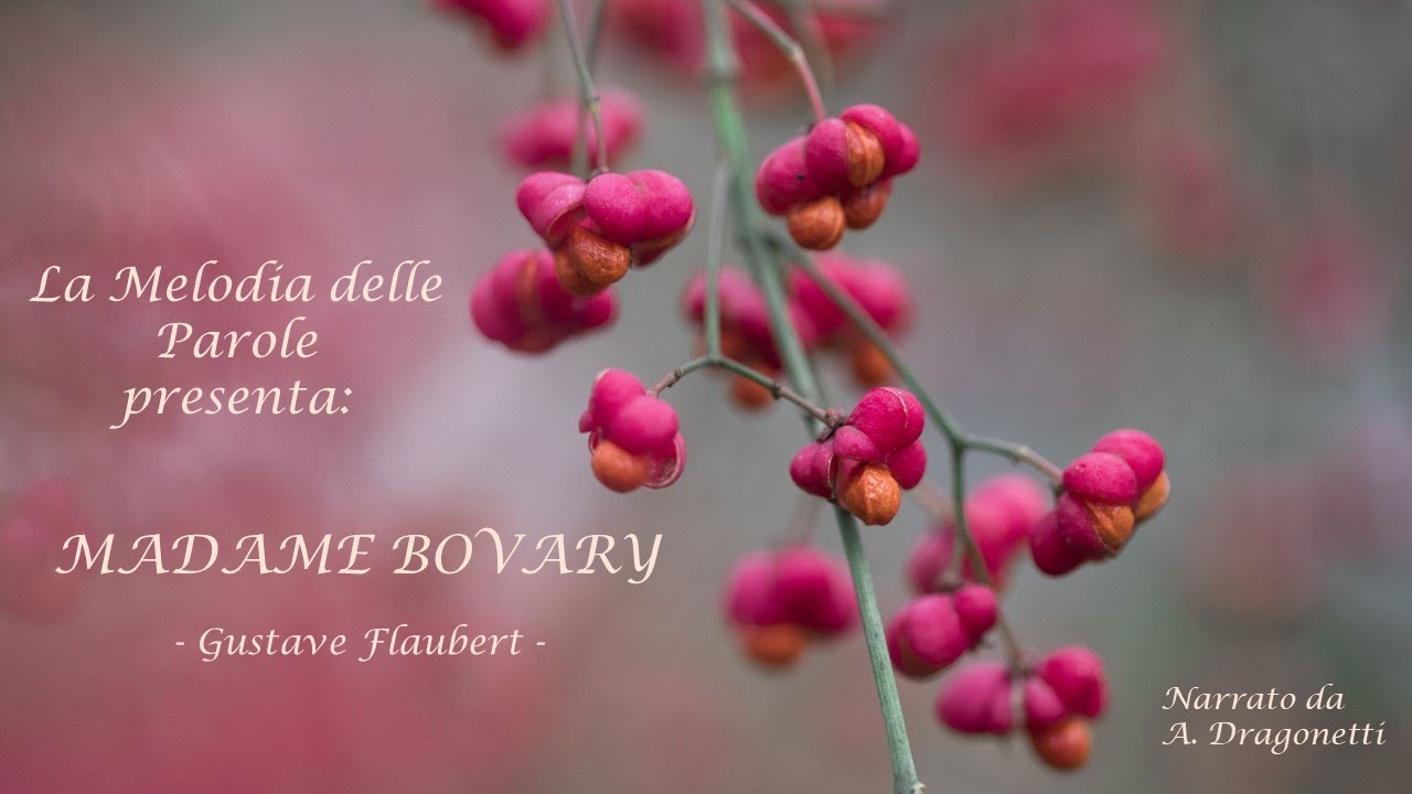 Madame Bovary, Gustave Flaubert - Audiolibro integrale