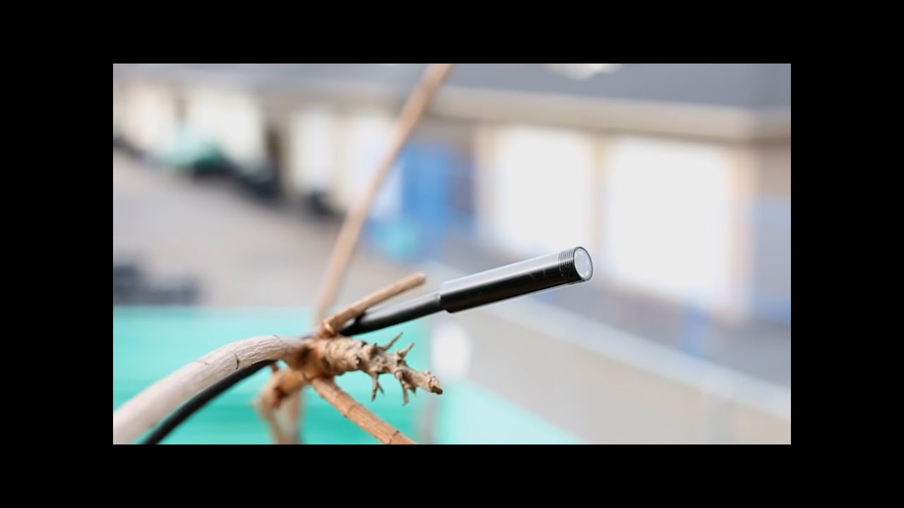 Affordable Borescope Endoscope Snake Camera for Android or PC Devices Review