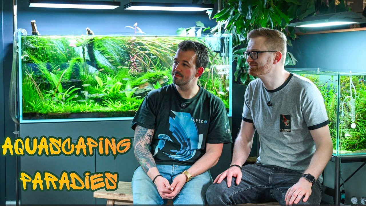 Ist das der sch&ouml;nste Aquascaping Shop Europas? (Liquid Nature Wien)