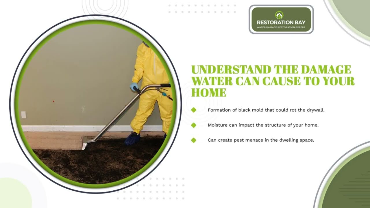 Bay Area Home Water Damage Repair
