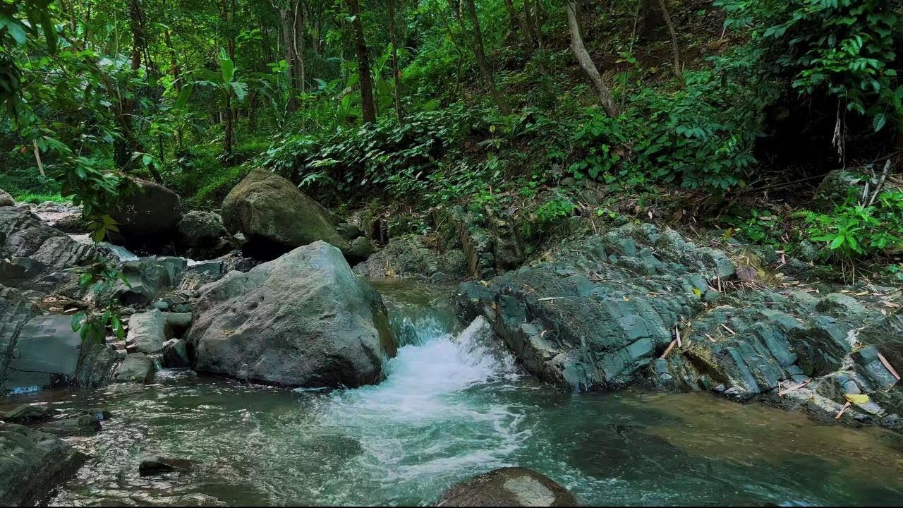 4K-HDR | Relaxing River Flow for Sleep & Emotional Recovery | Peaceful Water Ambience for Quiet Rest