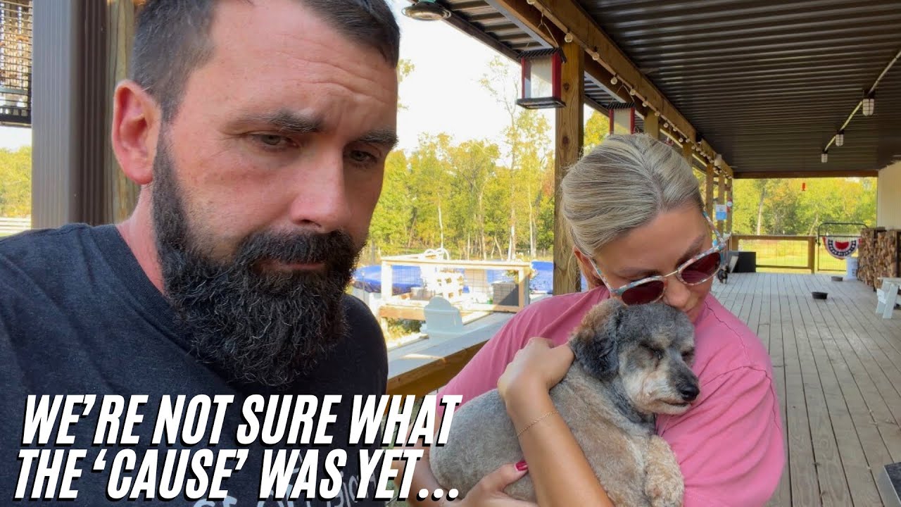 Трагический случай на нашей ферме сегодня... Покойся с миром