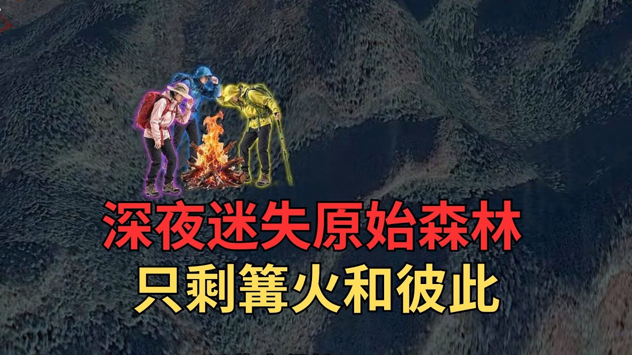 三名贵州驴友徒步茂兰原始森林，因迷路在深夜被困原始森林深处