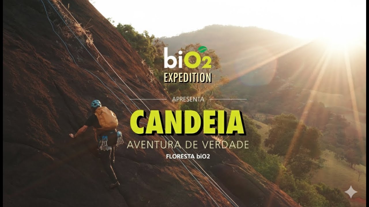 Candeia | Floresta biO2