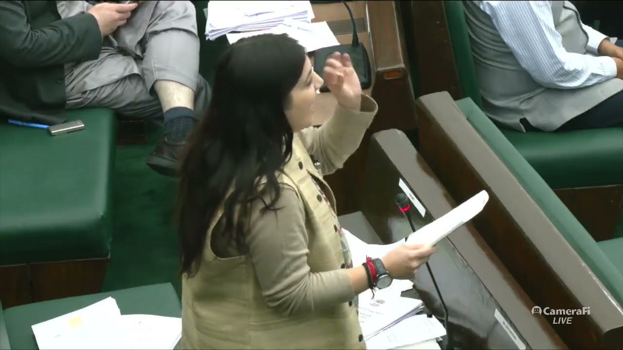 Second Sitting LIVELIVE: #GRANTS#J&K Legislative Assembly