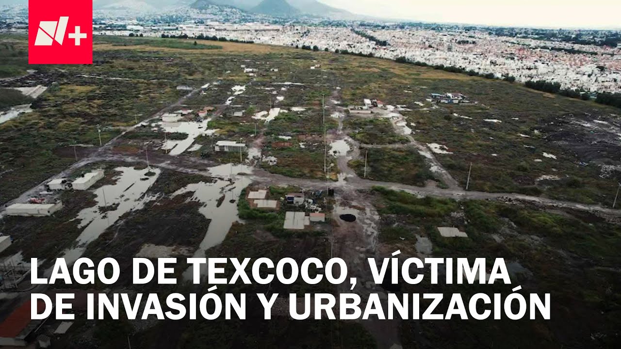 Lago de Texcoco, en Peligro de Ser "Consumido" por la Mancha Urbana del Valle de México - En Punto