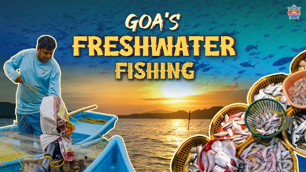 Goa's Freshwater Fishing | Trapped Rivers of Goa | Goa Stories Special