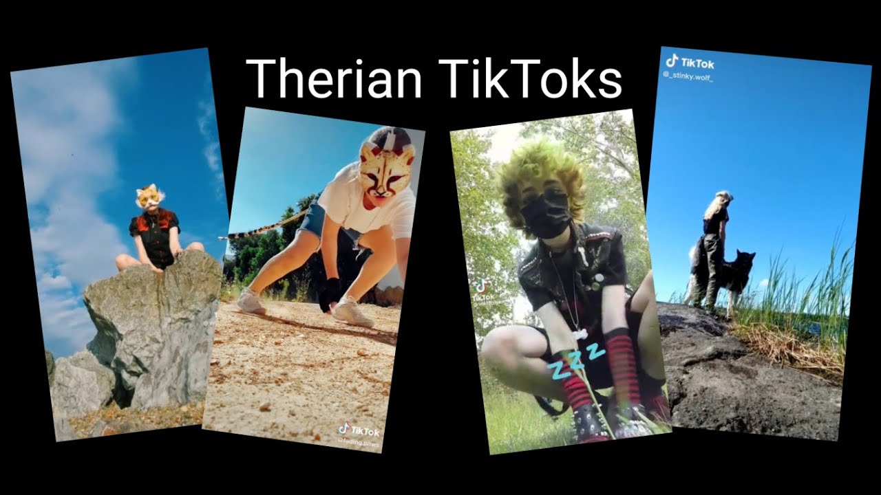 Therian TikTok Compilation