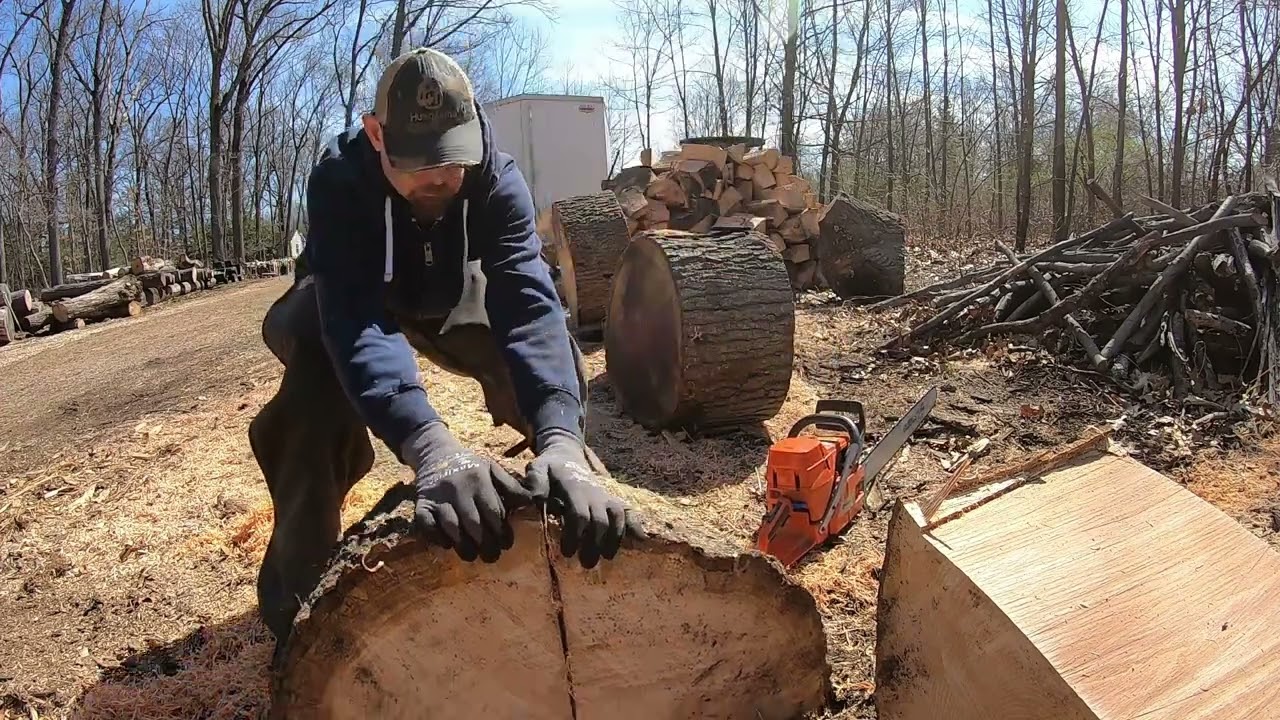 Husqvarna 395xp noodling logs for premium firewood!