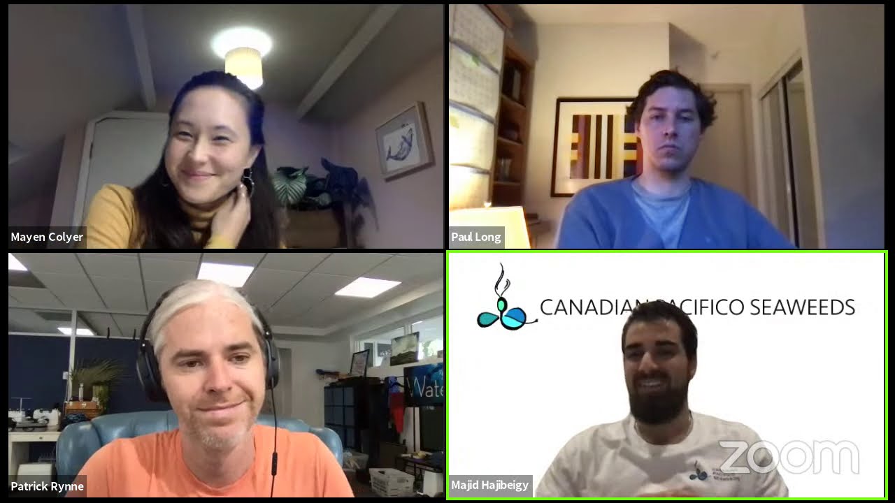 Companies using business to save our oceans - Waterlust, Anián, and Canadian Pacifico Seaweeds