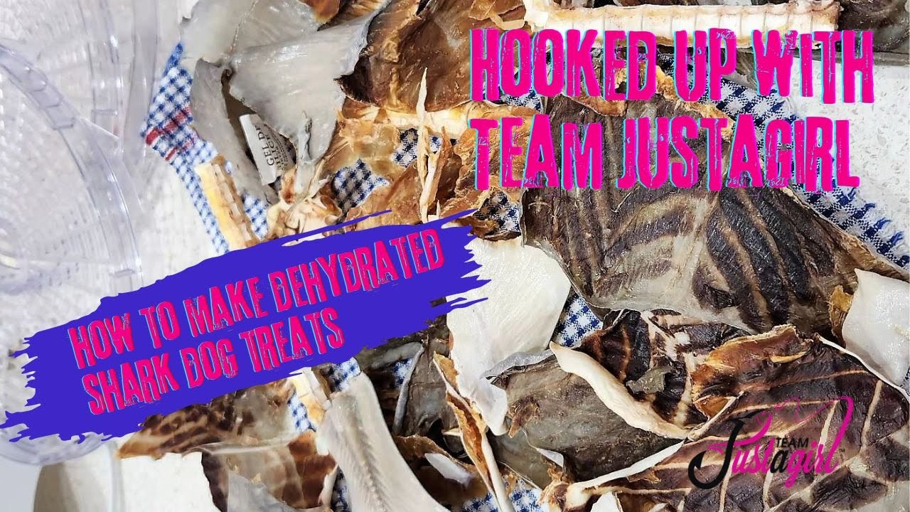 How to make fish treats for your dogs and cats fishing AU |Get Hooked Fishing with Team Justagirl