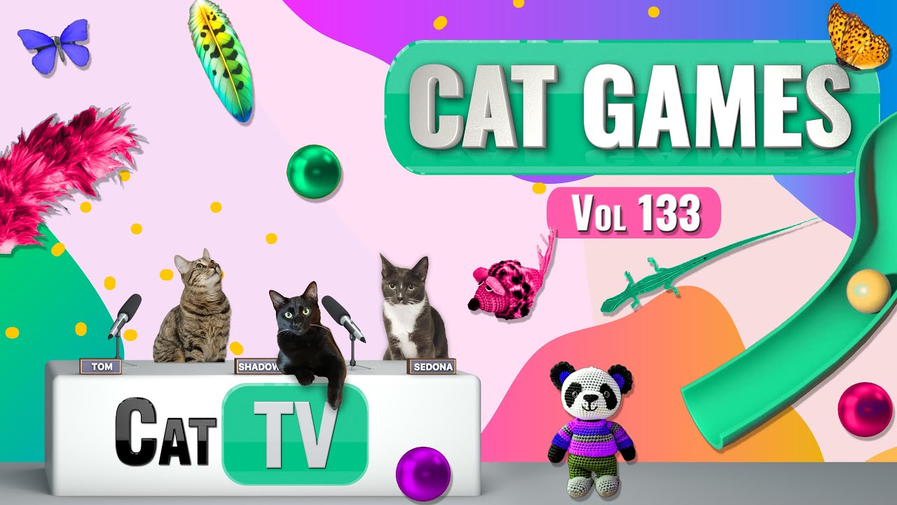CAT Games | Ultimate Cat TV Compilation Vol 133 | 8 ЧАСОВ 🐝🐞🦋🦎🦜🐜🐭🧵