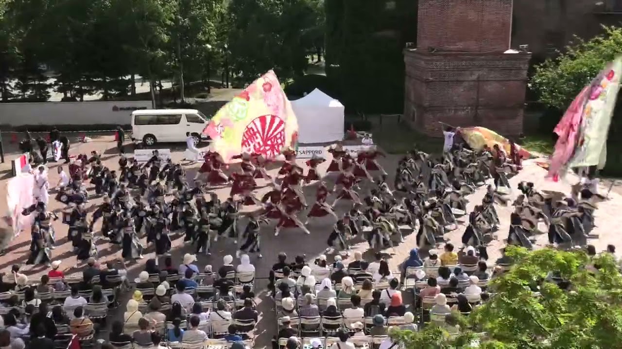 2024.YOSAKOIソーラン(サッポロガーデン)粟津おすえべ花吹雪