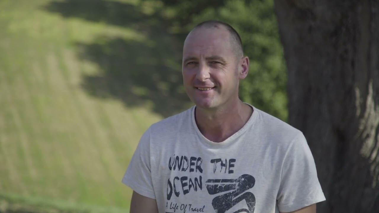 Fromages Pur Brebis des Pyrénées - des prairies aux assiettes