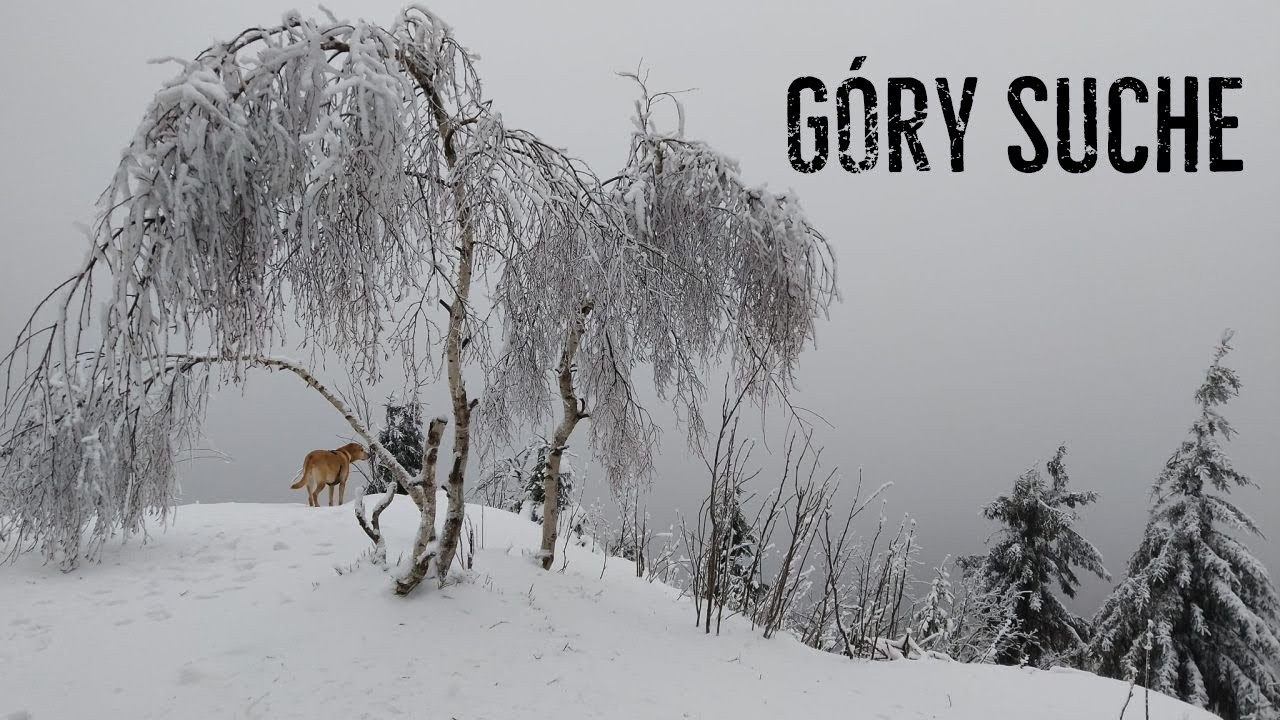 G&oacute;ry Suche szlakami grzbietowymi