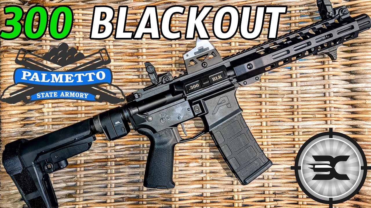 Palmetto state armory / Aero Precision 300 blackout AR pistol