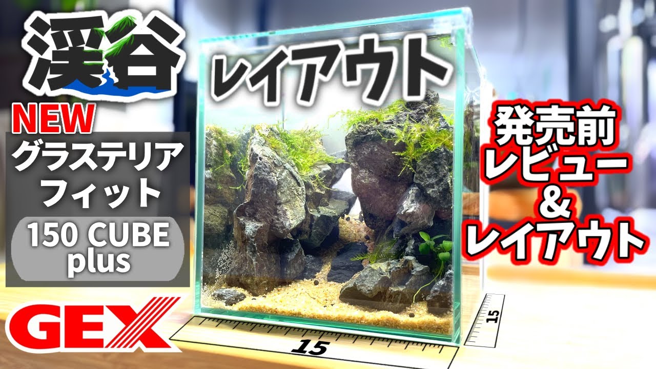 GEX新小型水槽！フタ受けリフトで使い勝手が良くなったグラステリアフィットレビュー&渓谷レイアウト#アクアリウム #水草水槽