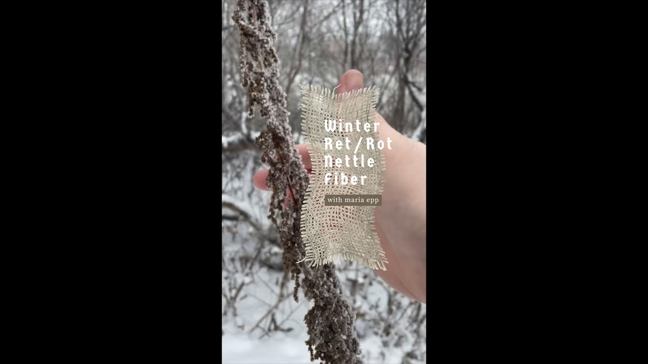 Winter Ret Nettle Fiber