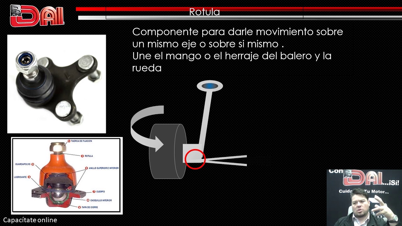 SUSPENSIÓN Y SUS COMPONENTES