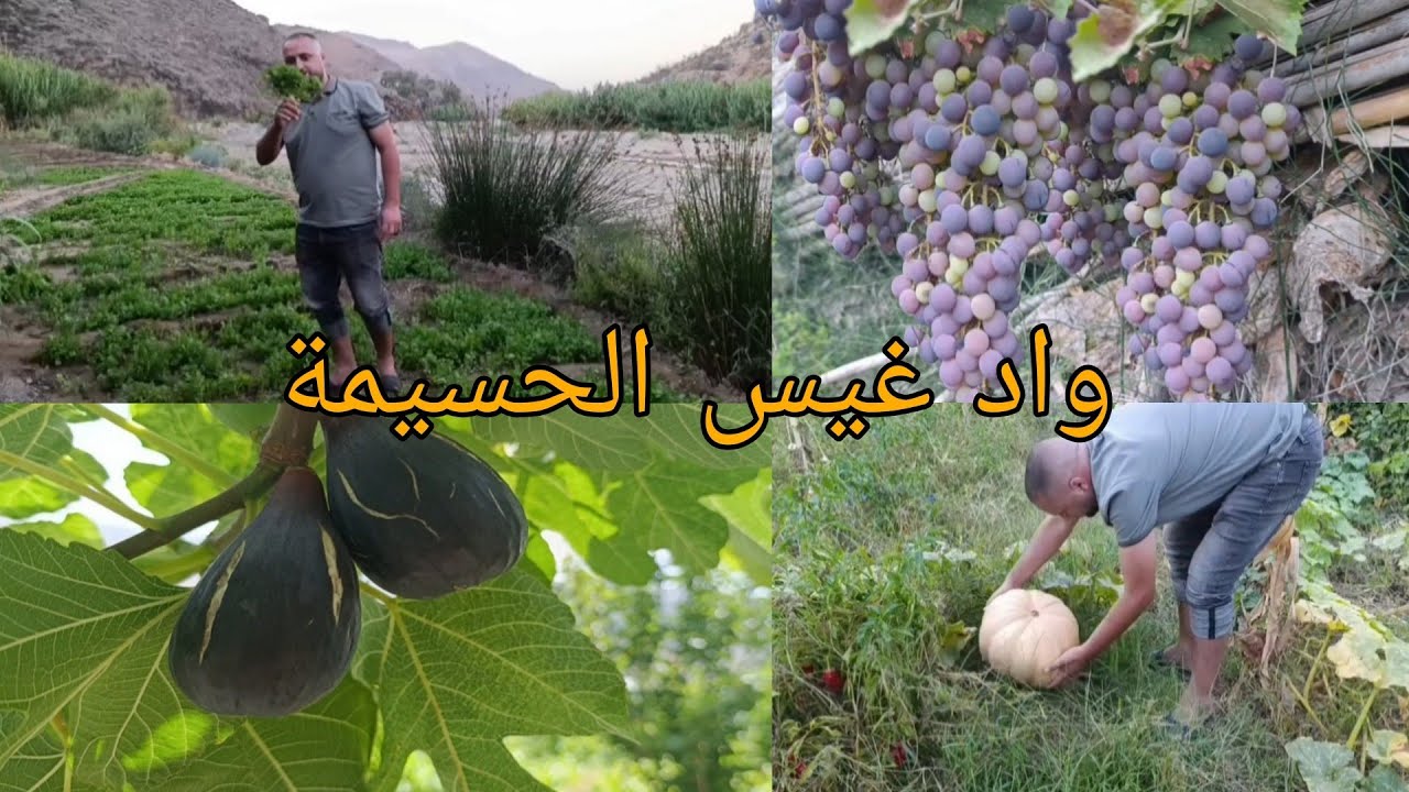 الحياة اليومية في البادية وجولة في تغزويث إرغمان نواحي الحسيمة#واد_غيس