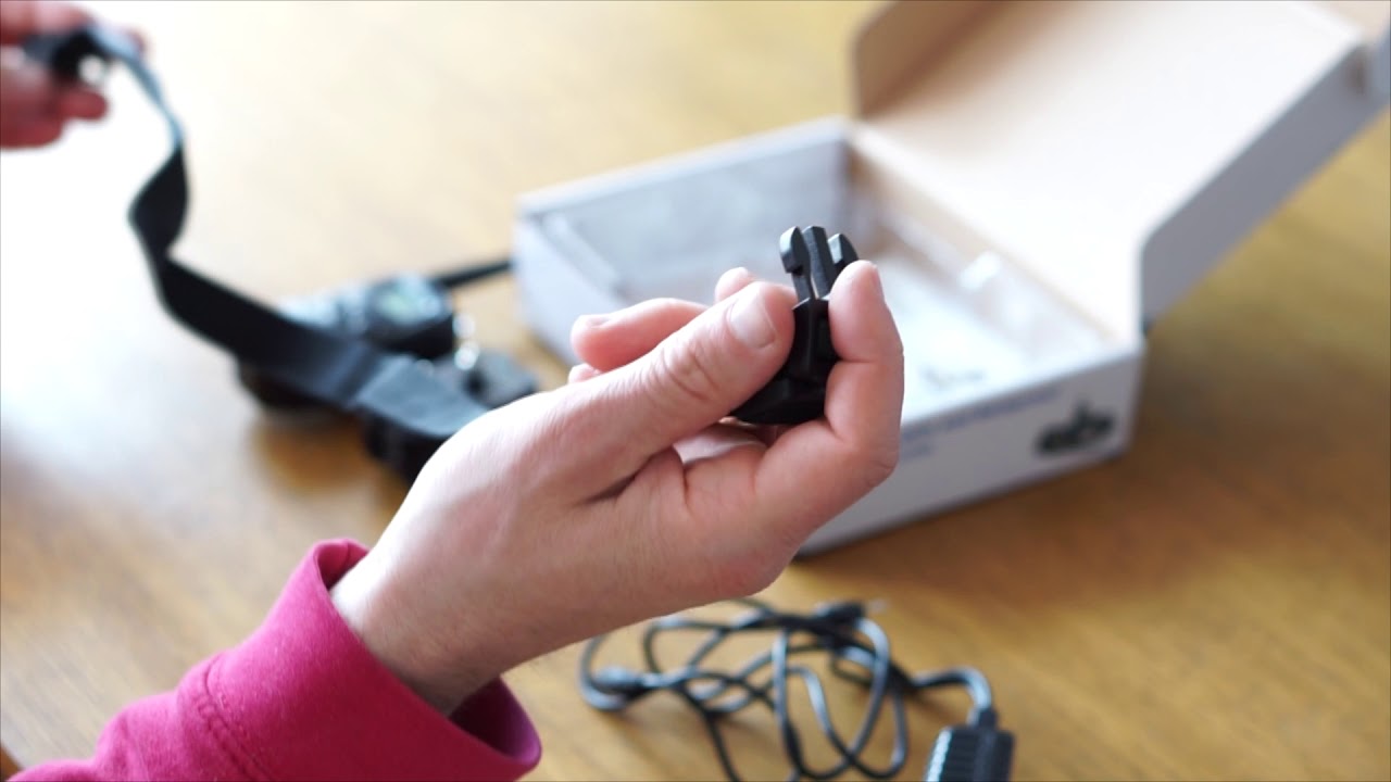 Prezentacja obroży elektrycznej Petrainer PET998DR