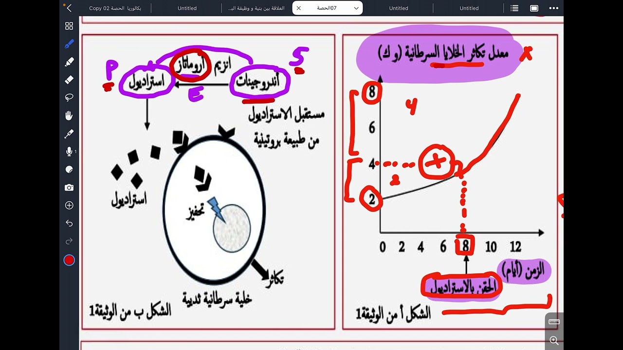 اقتراح فرضيات @جمال جبري 