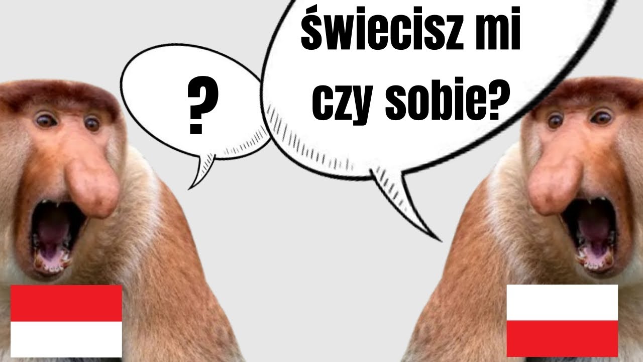 Co Mówi Twój Stary Ale To Indonezja