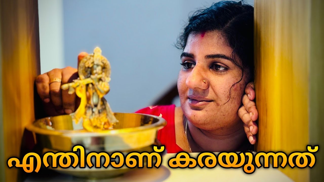 ഇത്രയൊക്കെ ഫീലാവുന്നത് എന്താണെന്നറിയുമോ സ്വപ്നം പോലെ ഓരോന്ന് നടക്കുമ്പോൾ 🥰😍🙏👌