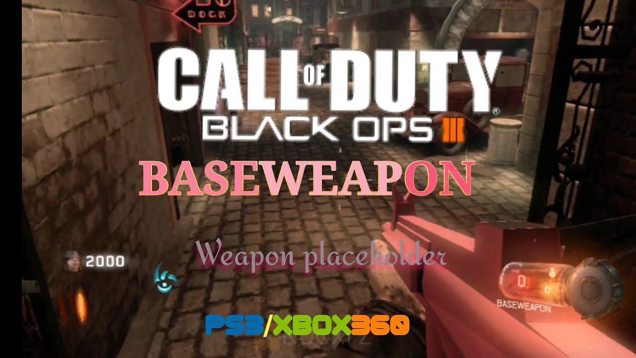 COD Bo3 Hidden/Cut weapon in zombies