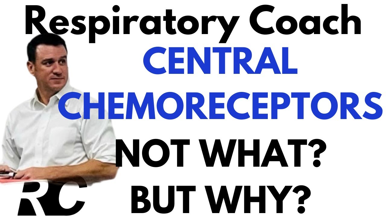Respiratory Therapy - Central Chemoreceptors