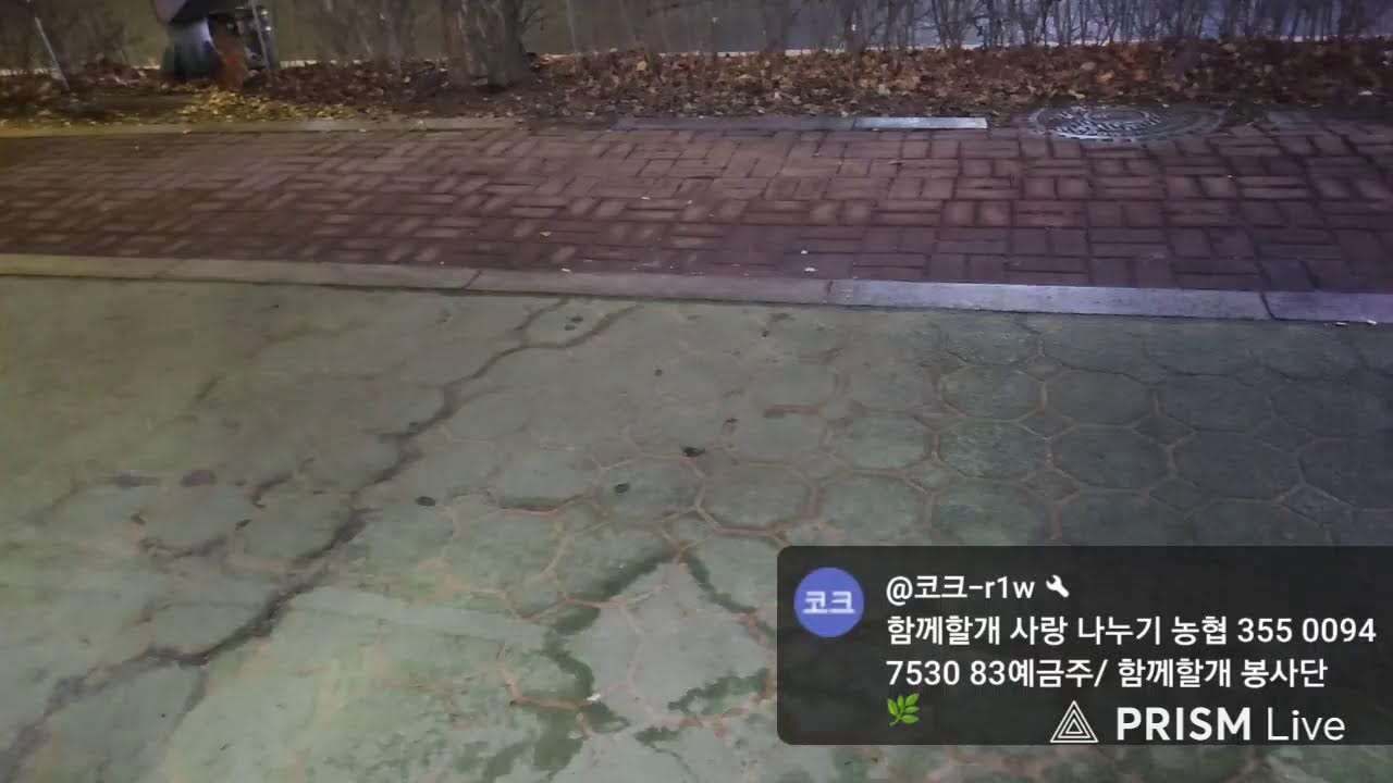 함께할개TV 봉사단 라이브 방송