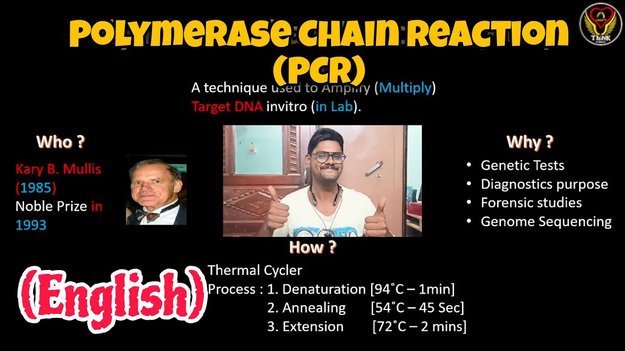 PCR - Polymerase Chain Reaction (English) | Molecular Biology | Genetic Engineering | Think Biology