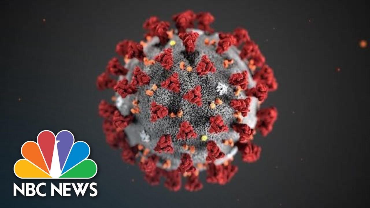 CDC Officials Give Update On COVID-19 | NBC News (Live Stream Recording)