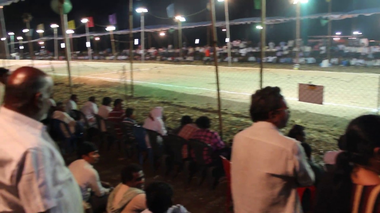 National Ongole Bulls Race Competition,Amazing Ongole Bulls Stone Pulling Competition,Ongole Bulls