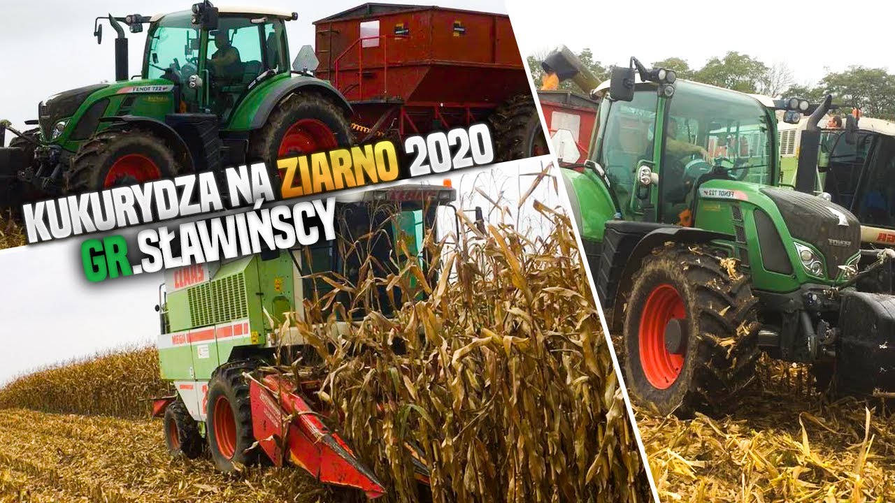 🌽KUKURYDZA NA ZIARNO 2020🌽☆ CLASS MEGA & FENDT 722 VARIO☆