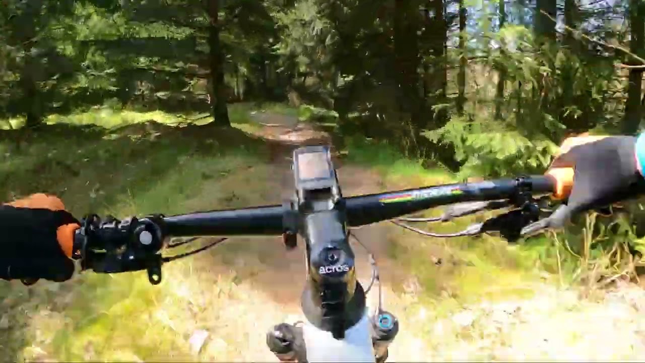 Kelstrup Plantage MTB Highlights (descents, trails & obstacles)