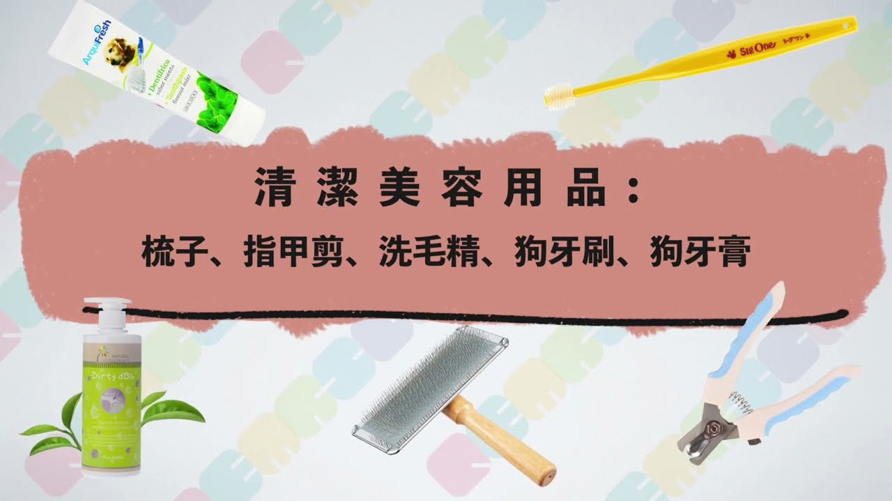 第一次養幼犬該準備什麼?新手狗奴必備清單!