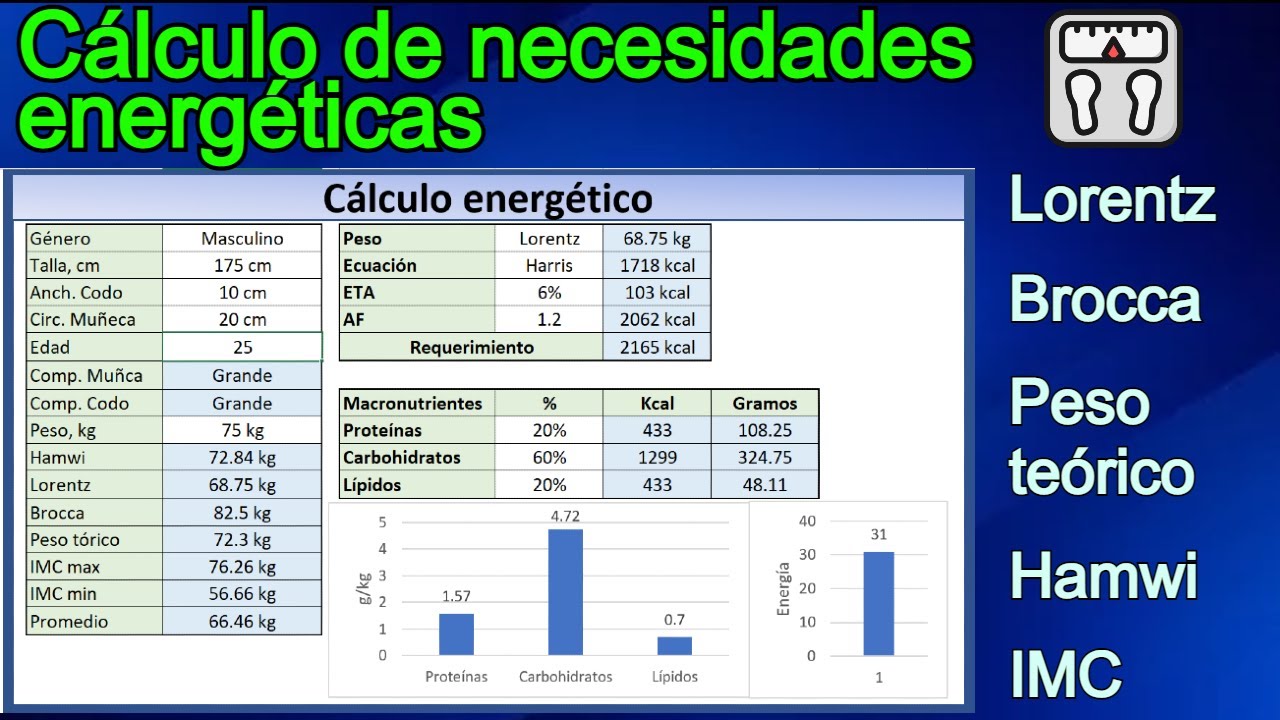 Cálculo de gasto energético con Harris y Mifflin: pesos de Lorentz | Brocca, teórico | Hamwi | IMC