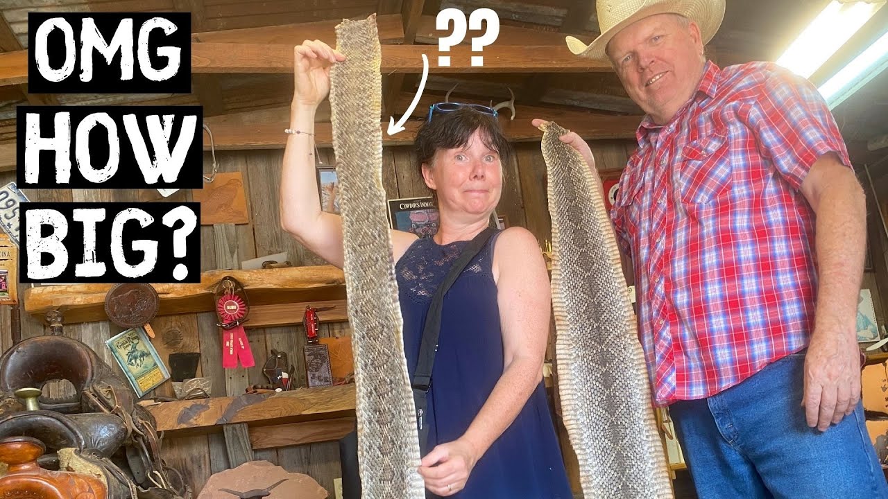 BRITS GET TO KNOW THE REAL TEXAS - USA VAN LIFE [S7-E15]