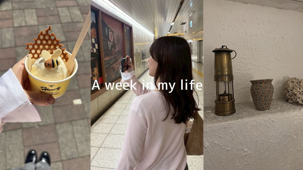 【1週間vlog】春休みの大学生のリアルな1週間｜大学・ディズニー・カフェ・新潟・趣味