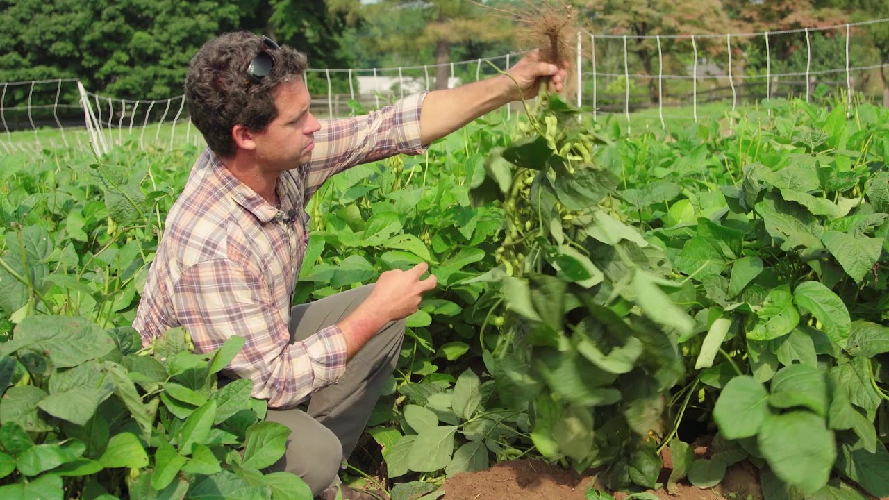EDAMAME: From the Field