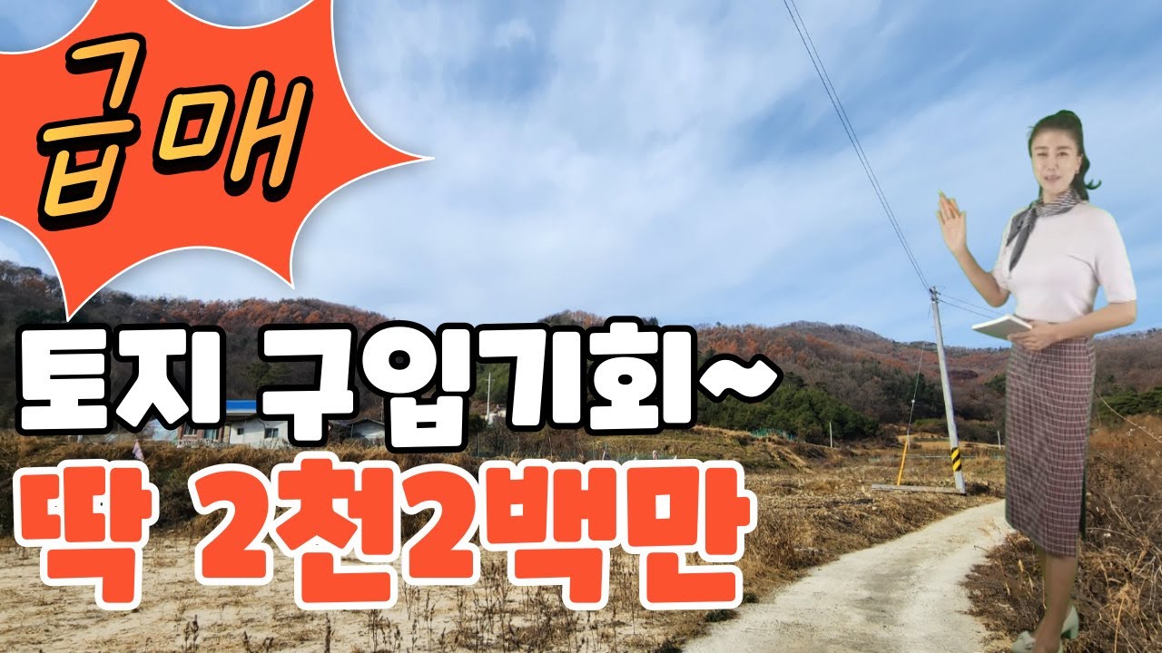 주말농장🏡 가능한 땅 진짜 대출없이 💥👍2200만원??? 농막 가능💥맹지 아님 #청주토지 #청주땅 #김설아소장