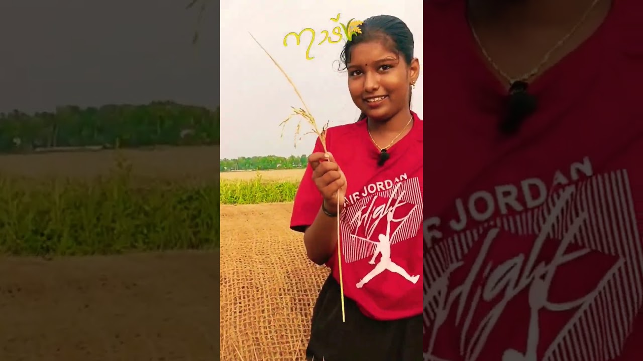 നാട് 🌾🥰#parumalakkari #minivlog #vlog #mannar #vlogvideo #kuttanad #love #alappuzha