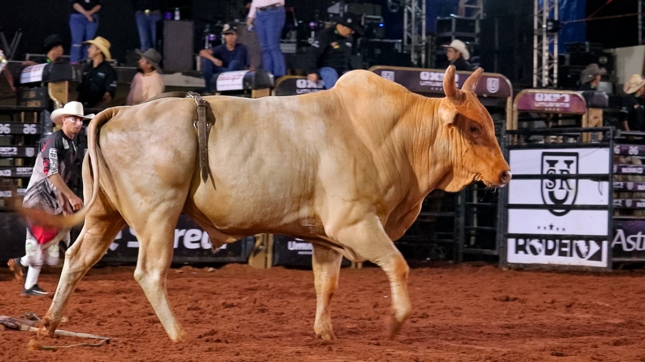 RODEIO da EXPOUMUARAMA 2026 - MELHORES TOUROS | QUARTA FEIRA