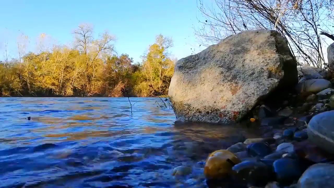 Calming flat river in autumn. Nature soothing Sounds. (10 hours) White Noise for sleep.