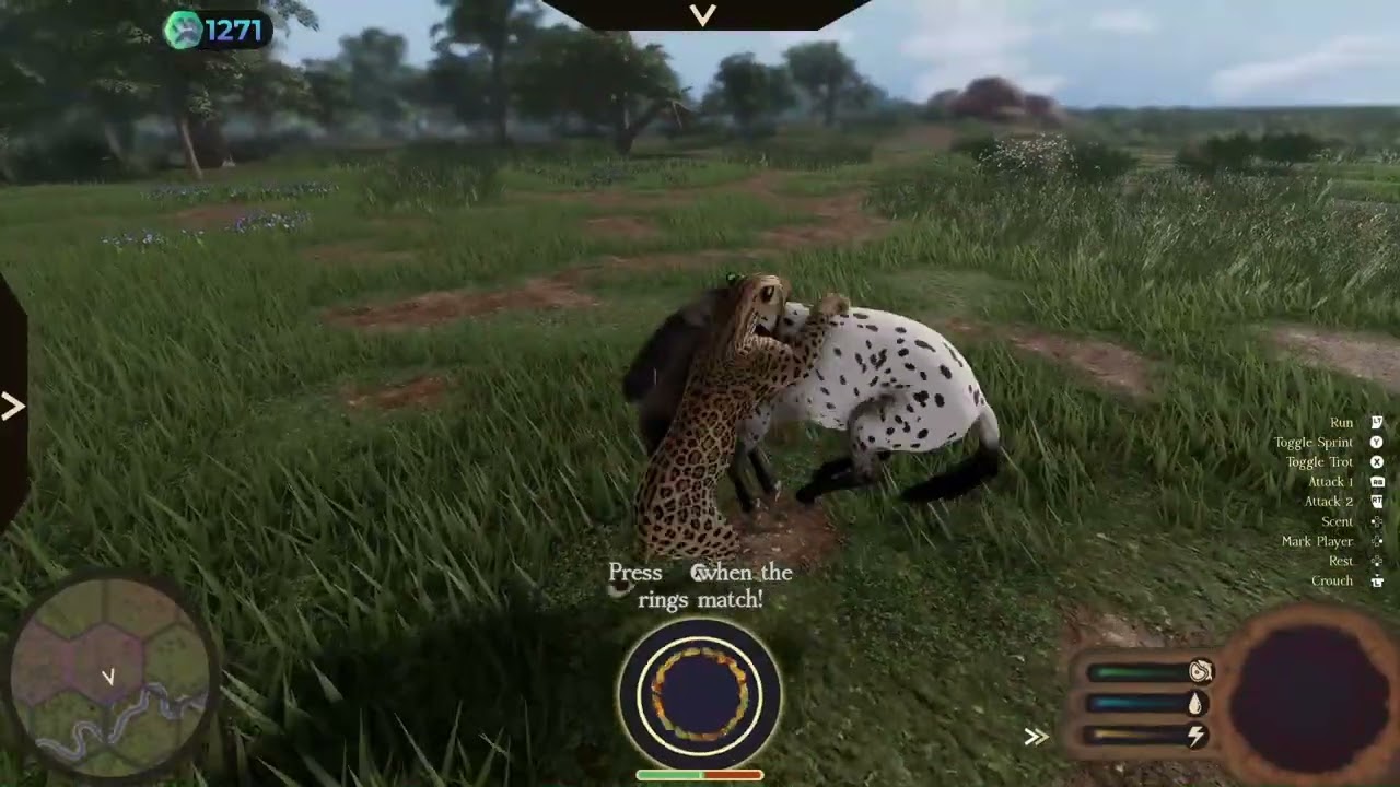 Western Horse Ambush (Perfect Side Swipe)