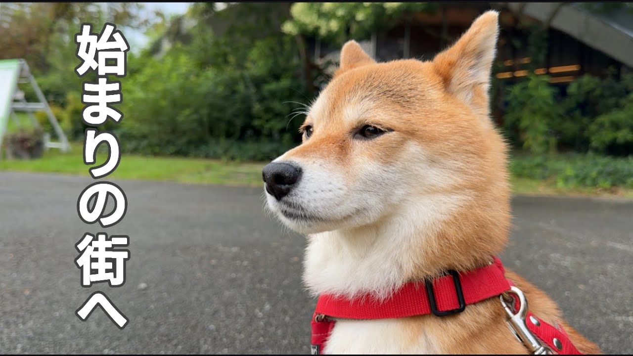 福ちゃんとの新たな生活に選んだのはこの街でした