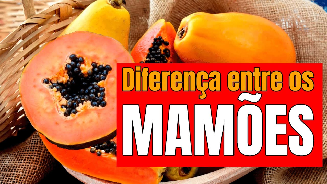 Diferença entre os mamões!